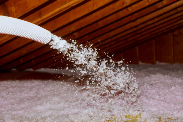 Best Blown-in Insulation in Santee, SC