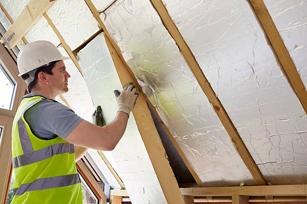 Best Eco-Friendly Insulation in Santee, SC