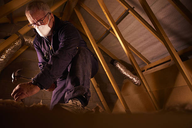 Professional Insulation Contractor in Santee, SC